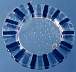 bluestripeplate.jpg