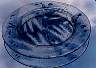 clearplate2.jpg